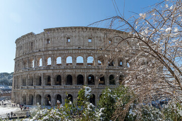 Ancient Colosseum in Rome after a snowy day. roman amphitheater covered by snow in Italy