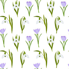 Fototapeta na wymiar Crocus and snowdrop flowers seamless pattern. Vector illustration