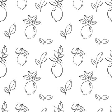 Black outline doodle lemons and leaves seamless pattern. Vector illustration