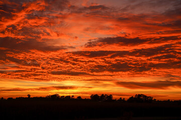 Fototapeta premium Zachód Słońca Sunset