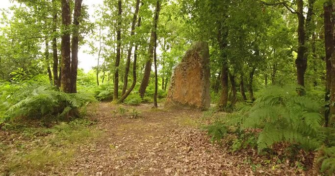 Menhir des Varennes dans la for&ecirc;t de Cumeray (49)