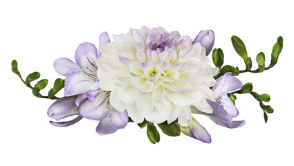 Purple freesia flowers and white dahlia in a floral arrangement isolated on white or transparent...