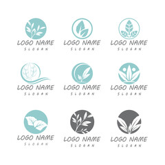 Mint leaves flat vector color icon template illustration design