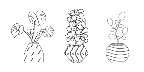 Obraz premium Hand drawn set of house plant in a pot. Outline room plant collection isolated on white background. Linear vector illustration