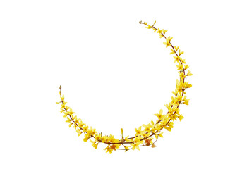 Flower foliage circle overlays, golden ring, backdrop overlays, maternity rings, art portrait,...