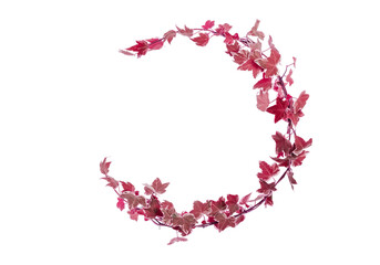 Flower foliage circle overlays, golden ring, backdrop overlays, maternity rings, art portrait,...
