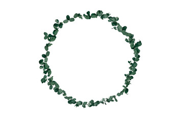 Flower foliage circle overlays, golden ring, backdrop overlays, maternity rings, art portrait, Digital Background, texture, png