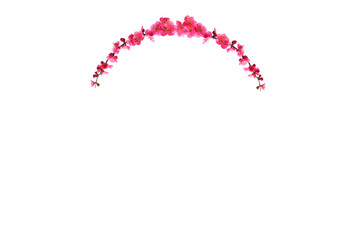 Flower foliage circle overlays, golden ring, backdrop overlays, maternity rings, art portrait, Digital Background, texture, png