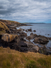 Picturesque landscape. Wild vegetation on stony soil. Cloudy sky over the ocean. Views on the wild Atlantic way, hills under clouds.