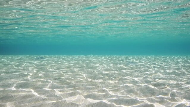 Sandy shallow water in sunburst and glare on sand seabed, slow motion. Sunlight passes through surface of turquoise water on sandy bottom in shallow on sunny day in sun glares 