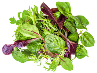 Salad leaves mix  isolated on white background. Salad Collection  top view, flat lay. Creative...