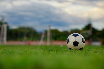 Soccer ball on green grass field. Football sport for exercise.
