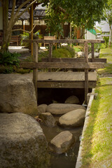 wooden bridge in the park