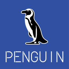 penguin on blue