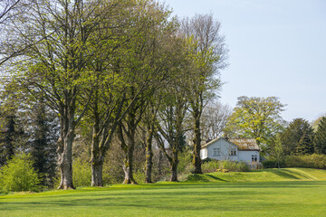 Fototapeta na wymiar View of the gardens in the Sedbergh village. Yorkshire Dales, England, UK.
