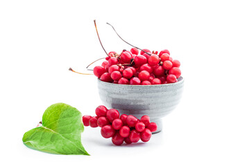 Schisandra chinensis medicinal herb fruit with leaf isolated on white - obrazy, fototapety, plakaty
