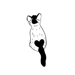 Vector hand drawn illustration of a cat with a heart on its back ,line art