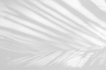 Gray shadow of natural palm leaf abstract background falling on white concrete wall texture for background and wallpaper. Tropical palm leaves foliage shadow overlay effect, mockup and design