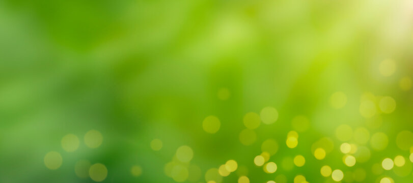 Abstract green background with defocus lights and sun rays and glare. Copy space, banner. Summer or spring mood.