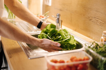 Obraz na płótnie Canvas Man washing organic green salad Romano in kitchen. Lettuce leaves with water drops