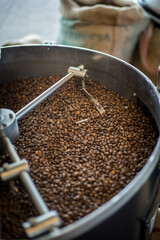 Grains de torréfaction de café, grains de café dans la machine de torréfaction, Arabica