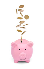 coin finance saving money piggybank business investment banking piggy bank pig wealth