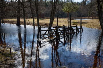 .a flooded river with trees, where a pedestrian bridge can be seen in the water on a sunny spring day