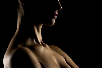 Sensual portrait silhouette of beautiful woman in backlight on a black background