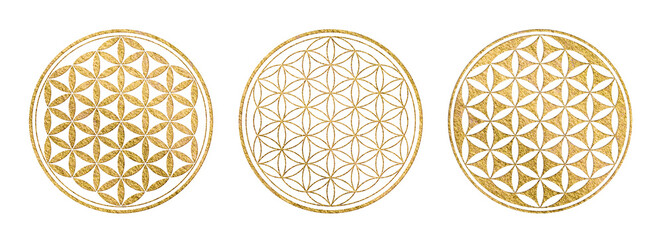 golden flower of life symbol in three variations, yoga / sacred geometry / zen icon with gold texture isolated over a transparent background - obrazy, fototapety, plakaty