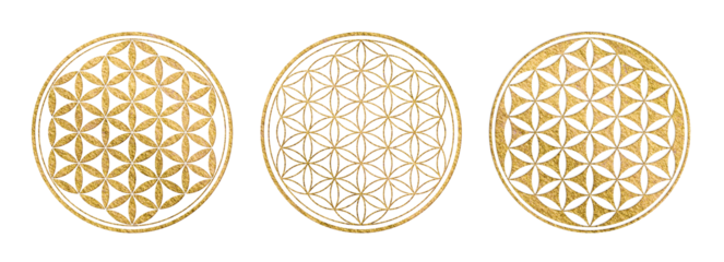 golden flower of life symbol in three variations, yoga / sacred geometry / zen icon with gold texture isolated over a transparent background