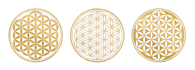 Foto op Plexiglas golden flower of life symbol in three variations, yoga / sacred geometry / zen icon with gold texture isolated over a transparent background © Anja Kaiser