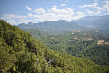 Turkish mountains near the Tazi Canyon . Green Forest.