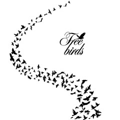 Birds flying in a line. Abstract wave from birds . free flock. Vector illustration