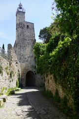 Fototapeta na wymiar old stone chrch in the village with arch tunnel on the cobblestone street and green ivy wall in yhe town of Vaison la Romaine, south of France