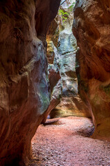 Arboleja Strait in Aledo, Murcia, Spain. Canyon carved out of the rock by the action of erosion creating a unique and mysterious landscape