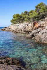 Fototapeta na wymiar Hidden Rocky Beach with Turquoise Water in Croatia. Scenic Adriatic Sea with Stones and Trees in Pula during Summer Sunny Day.
