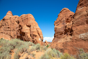 Fototapeta premium Arches NP