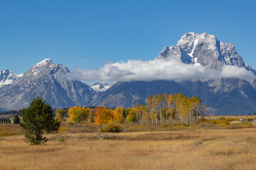 Grand Teton