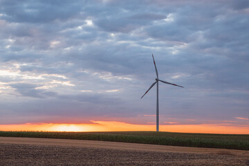 Windmills in a field at sunset