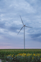 Windmills in a field of sunflowers at sunset