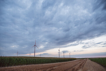 Windmills in a field at sunset