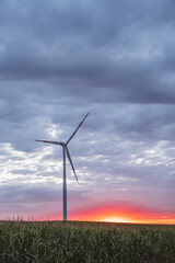 Windmills in a field at sunset