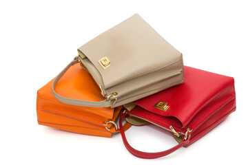 Collection of multi-colored women's bags