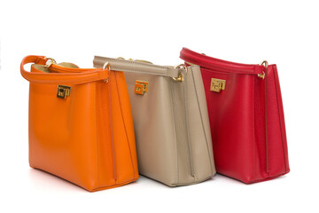 Collection of multi-colored women's bags