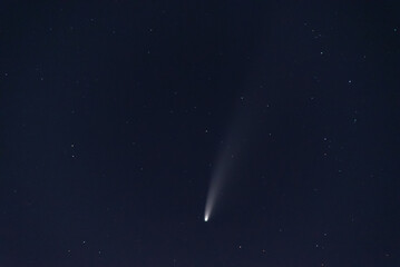 Kometa Neowise C/2020 F3 na nocnym niebie