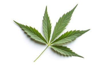 Cannabis leaf isolated on white background, Generative AI