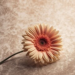 Flower on a cream colored background