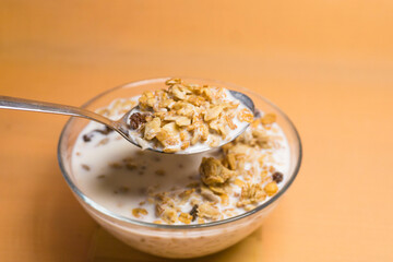 muesli in a glass bowl with milk