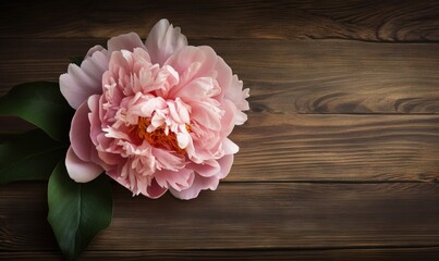  a large pink flower sitting on top of a wooden table.  generative ai
