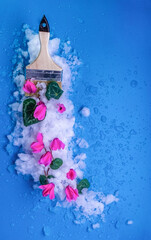 Spring flower paintbrush. Pink cyclamen on melting snow. 